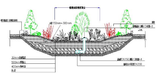 图3 雨水花园断面示意图.jpg