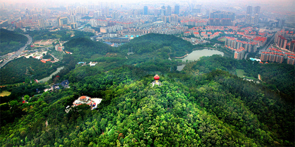 东莞旗峰公园有多高图片