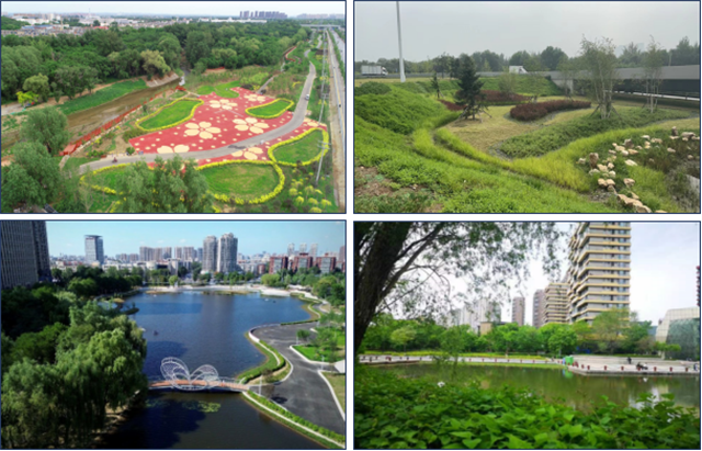image009.png