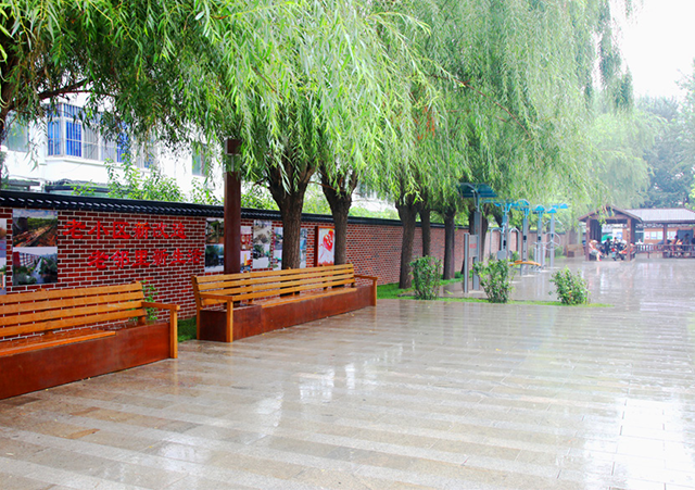 image003.png